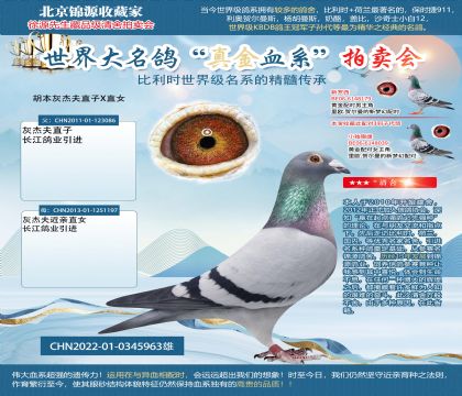 胡本灰杰夫直子X直女22-0345963雄