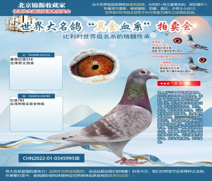 詹森紅狐貍22-0345995雄