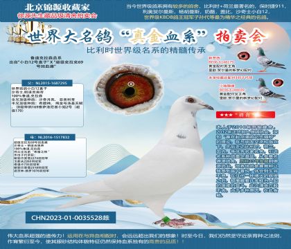 魯?shù)揽死?3-0035528雌