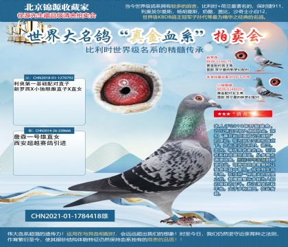 利奧第一配對直子X詹森21-1784418雄