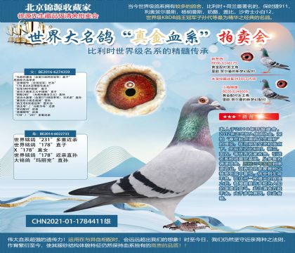 無敵利蒙治直孫21-1784411雄