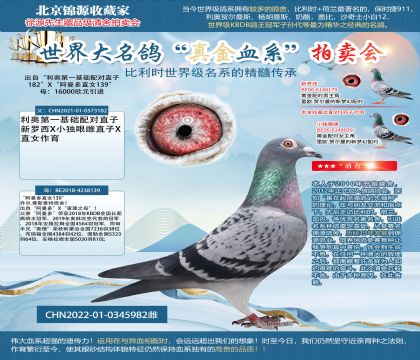 利奧阿曼多22-0345982雌