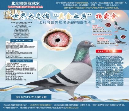 伊夫.范德波爾原舍-新金姆之父兄弟X新金姆之母姊妹