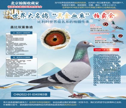 蓋比雙重魯?shù)?2-0345983雄