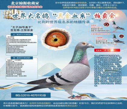 吉瓦特-蘭努原舍“王子26號直子”