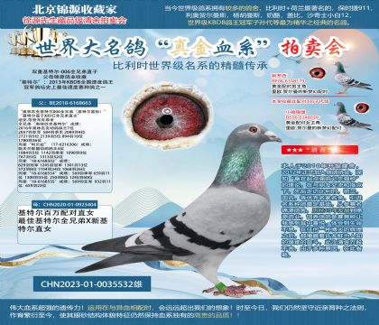 雙重基特爾-006全兄弟直子23-0035532雄