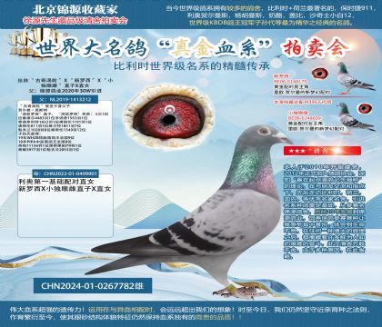 渦輪羅西24-0267782雄