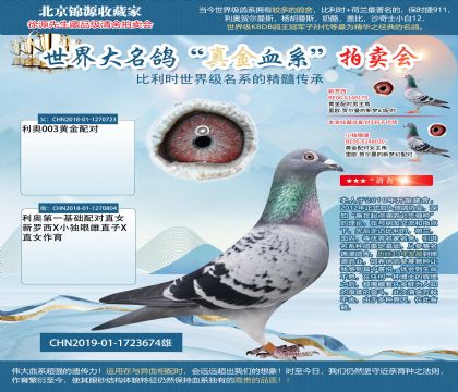 003X利奧第一配對直女19-1723674雄