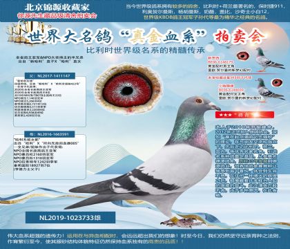 楊·胡曼斯原舍-“新哈利”直子x“哈利”直女