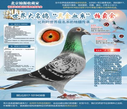 迪霍-迪蒙蘇原舍-最佳基特爾直子