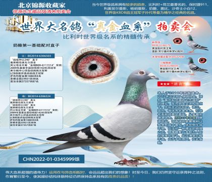 奶酪第一基礎(chǔ)配對直子22-0345999雄