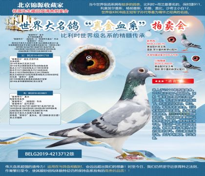 法蘭德收藏原舍“新基特爾”直子