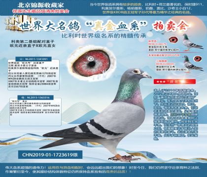 利奧第二基礎(chǔ)配對直子19-1723619雄