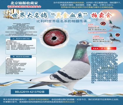 法蘭德收藏原舍“基特爾回血直孫”