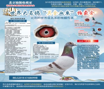 迪克.范登布克原舍-“基特爾全兄弟”X“薩基特2號”