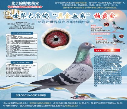 利奧原舍“奧林匹克03直孫”