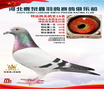 特比四關(guān)鴿王18名