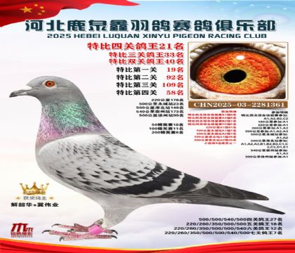 特比四關(guān)鴿王21名(七關(guān)鴿王7名)