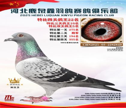 特比四關(guān)鴿王22名(七關(guān)鴿王10名)
