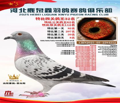 特比四關(guān)鴿王32名