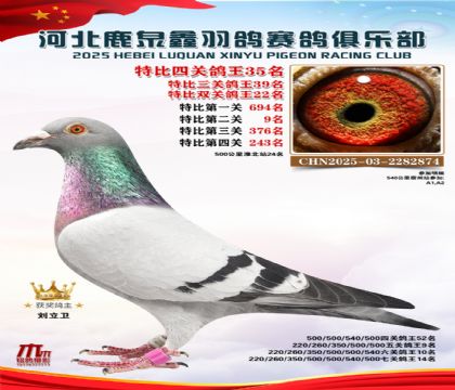 特比四關(guān)鴿王35名