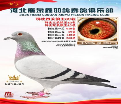 特比四關(guān)鴿王39名