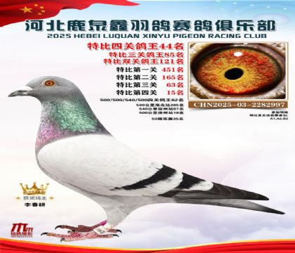 特比四關(guān)鴿王44名