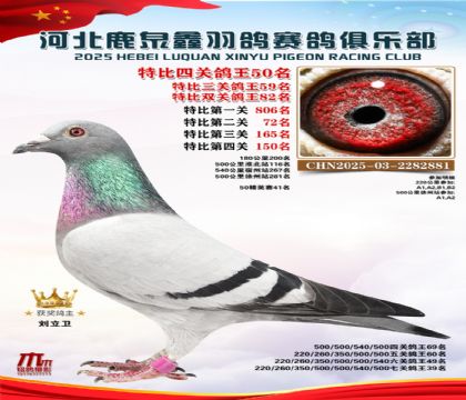 特比四關(guān)鴿王50名