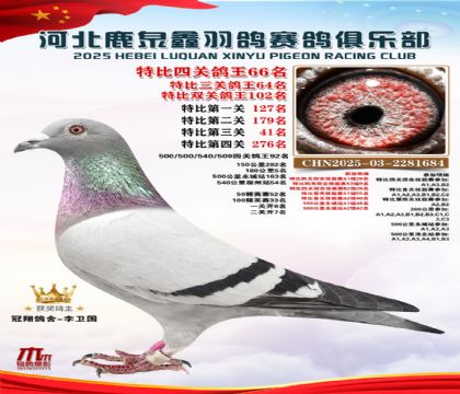 特比四關(guān)鴿王66名