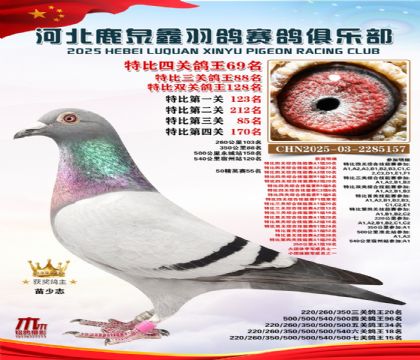 特比四關(guān)鴿王69名