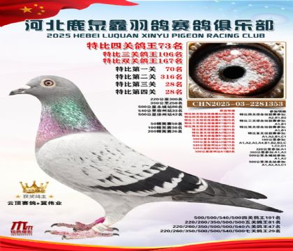 特比四關(guān)鴿王73名