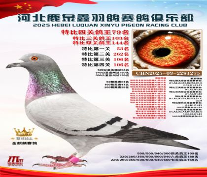 特比四關(guān)鴿王79名