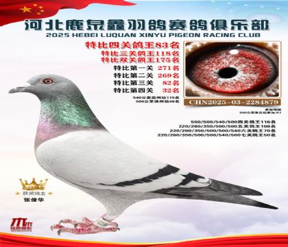 特比四關(guān)鴿王83名