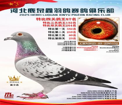 特比四關(guān)鴿王87名