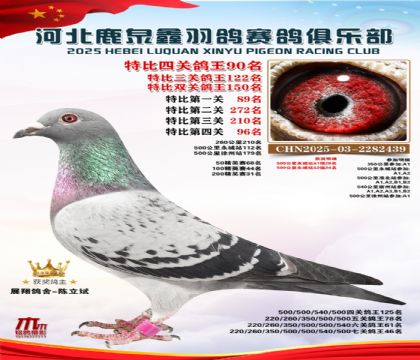 特比四關(guān)鴿王90名