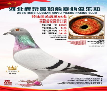 特比四關(guān)鴿王88名