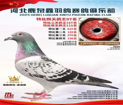 特比四關(guān)鴿王97名