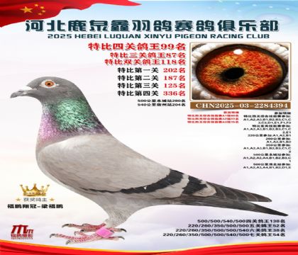 特比四關(guān)鴿王99名