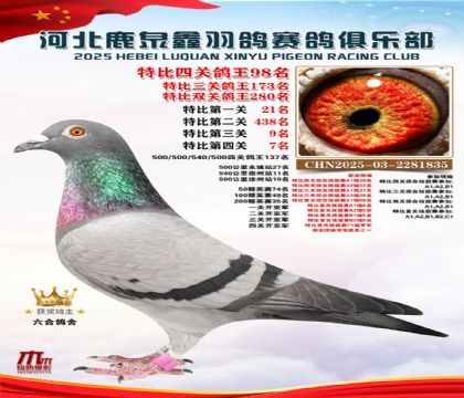 特比四關(guān)鴿王98名