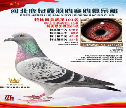 �ر��Ĺظ���101��