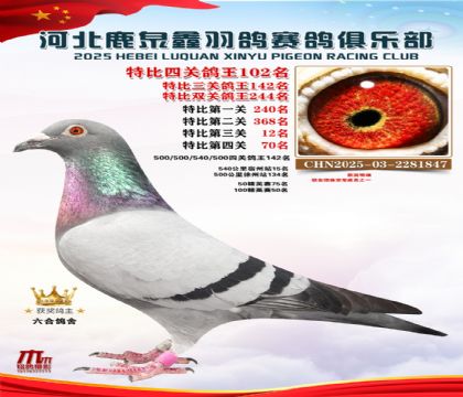 �ر��Ĺظ���102��