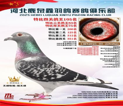 �ر��Ĺظ���105��