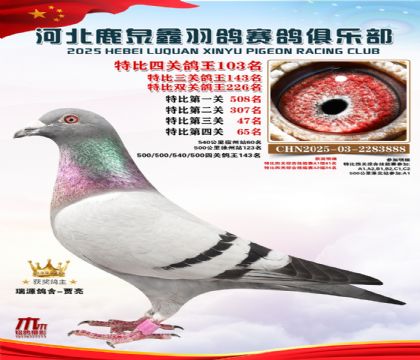 �ر��Ĺظ���103��