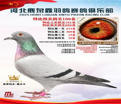 �ر��Ĺظ���106��