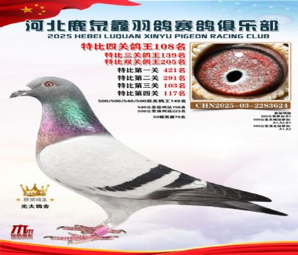 �ر��Ĺظ���108��