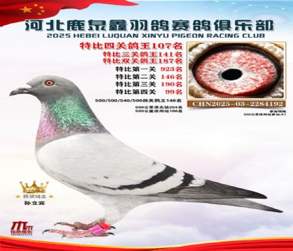 �ر��Ĺظ���107��