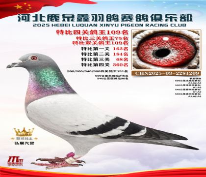 �ر��Ĺظ���109��