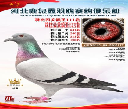 �ر��Ĺظ���111��