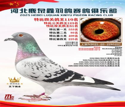 �ر��Ĺظ���110��