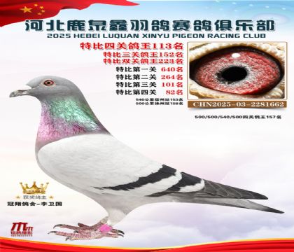 �ر��Ĺظ���113��